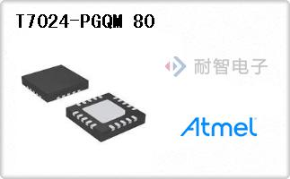 T7024-PGQM 80