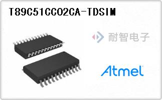 T89C51CC02CA-TDSIM