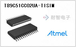 T89C51CC02UA-TISIM