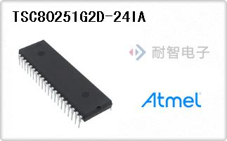 TSC80251G2D-24IA