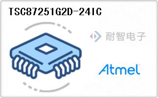 TSC87251G2D-24IC