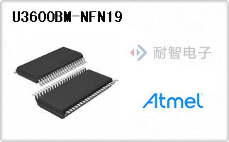 U3600BM-NFN19