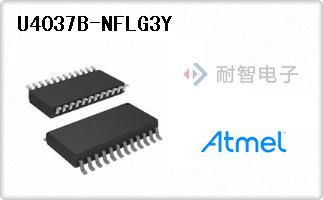 U4037B-NFLG3Y