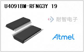 U4091BM-RFNG3Y 19