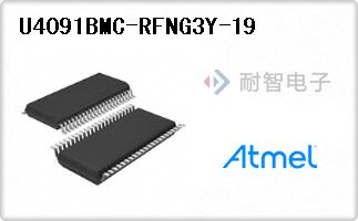 U4091BMC-RFNG3Y-19