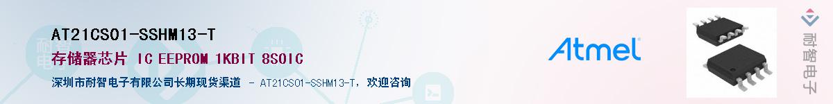 AT21CS01-SSHM13-TӦ-ǵ