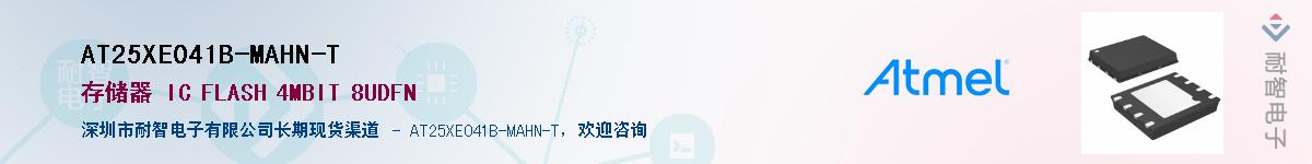 AT25XE041B-MAHN-TӦ-ǵ
