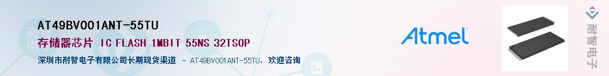 AT49BV001ANT-55TUӦ-ǵ