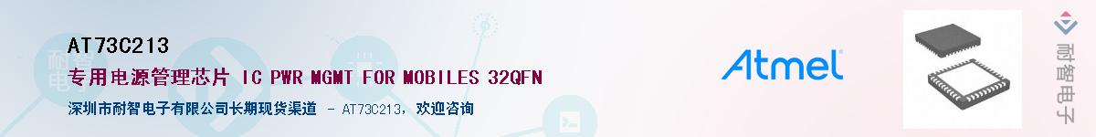 AT73C213Ӧ-ǵ