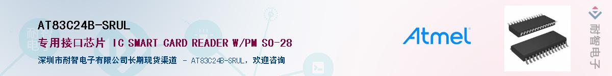 AT83C24B-SRUL��Ӧ��-���ǵ���