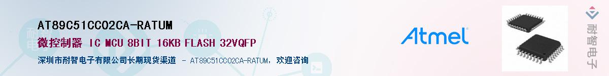 AT89C51CC02CA-RATUMӦ-ǵ