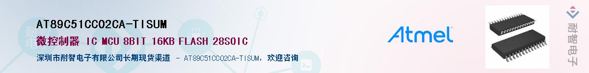 AT89C51CC02CA-TISUMӦ-ǵ