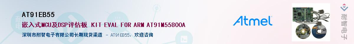 AT91EB55Ӧ-ǵ