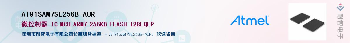 AT91SAM7SE256B-AUR��Ӧ��-���ǵ���