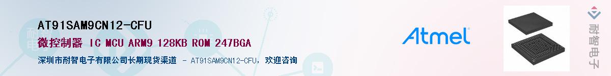 AT91SAM9CN12-CFUӦ-ǵ