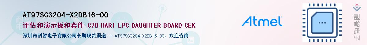 AT97SC3204-X2DB16-00Ӧ-ǵ