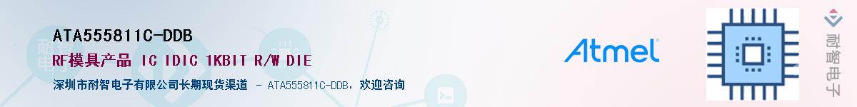 ATA555811C-DDBӦ-ǵ