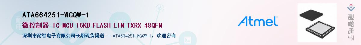 ATA664251-WGQW-1Ӧ-ǵ