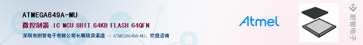 ATMEGA649A-MUӦ-ǵ