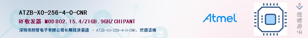 ATZB-X0-256-4-0-CNRӦ-ǵ