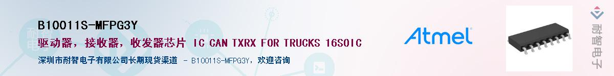 B10011S-MFPG3YӦ-ǵ
