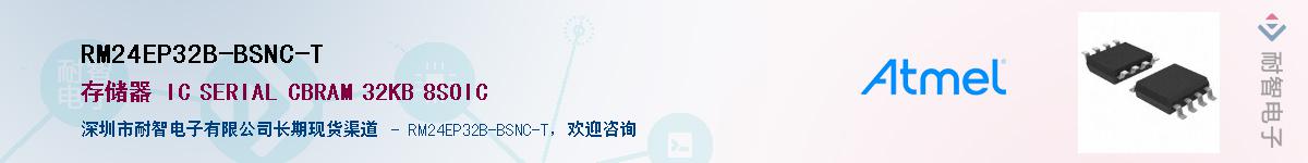 RM24EP32B-BSNC-T��Ӧ��-���ǵ���