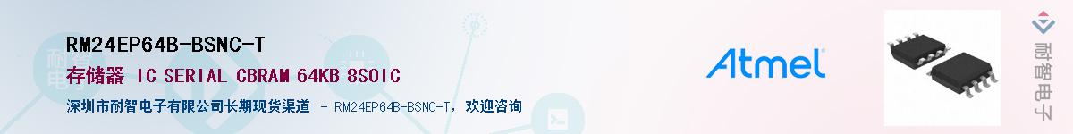 RM24EP64B-BSNC-T��Ӧ��-���ǵ���