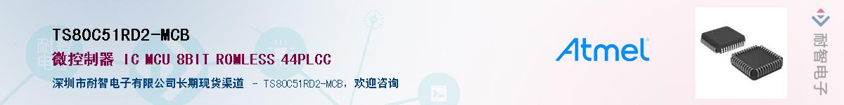 TS80C51RD2-MCB��Ӧ��-���ǵ���