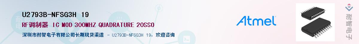 U2793B-NFSG3H 19Ӧ-ǵ