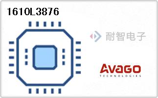 1610L3876