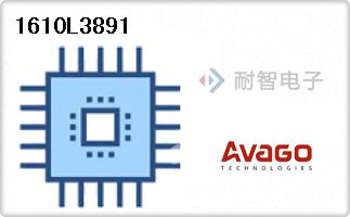 1610L3891