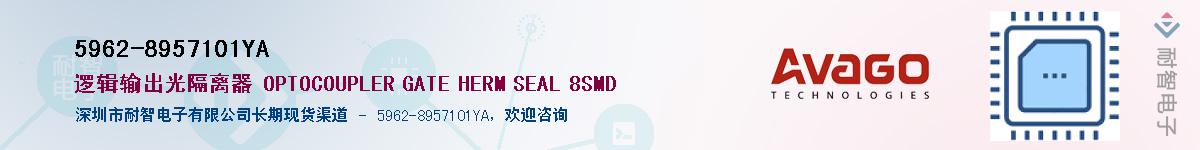 5962-8957101YAӦ-ǵ
