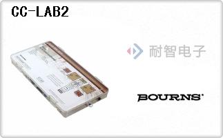 CC-LAB2