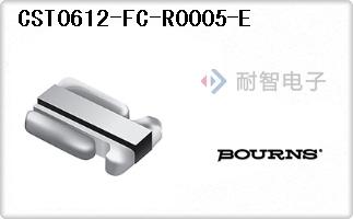 CST0612-FC-R0005-E