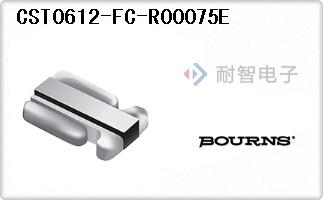 CST0612-FC-R00075E