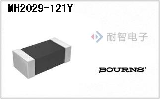 MH2029-121Y