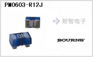 PM0603-R12J