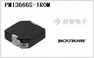 PM13666S-1R0M