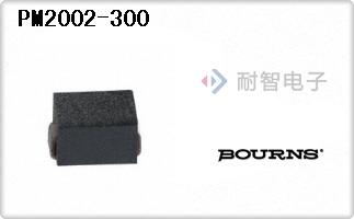 PM2002-300