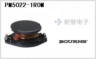 PM5022-1R0M