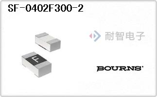 SF-0402F300-2