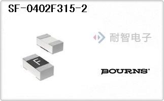 SF-0402F315-2