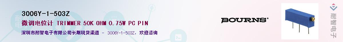 3006Y-1-503ZӦ-ǵ
