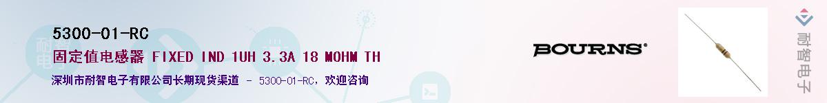 5300-01-RC��Ӧ��-���ǵ���