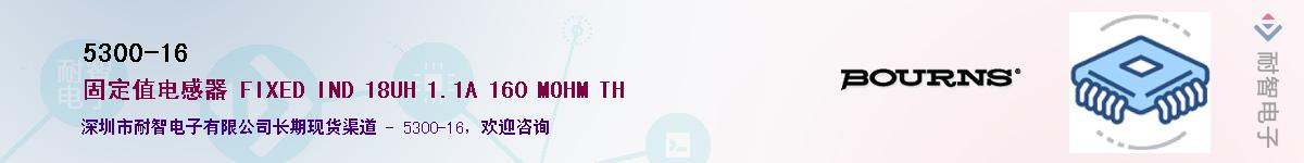 5300-16��Ӧ��-���ǵ���