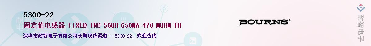 5300-22��Ӧ��-���ǵ���