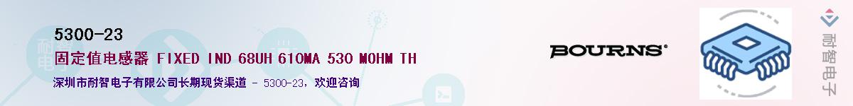 5300-23��Ӧ��-���ǵ���