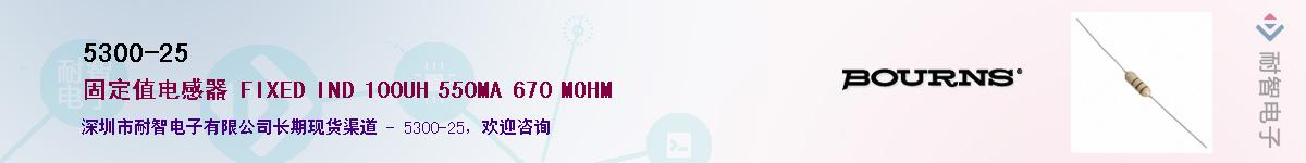 5300-25��Ӧ��-���ǵ���