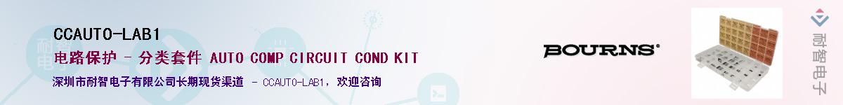 CCAUTO-LAB1��Ӧ��-���ǵ���