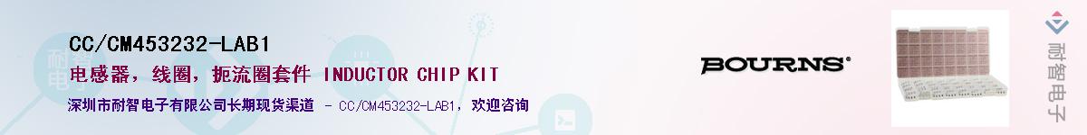 CC/CM453232-LAB1Ӧ-ǵ
